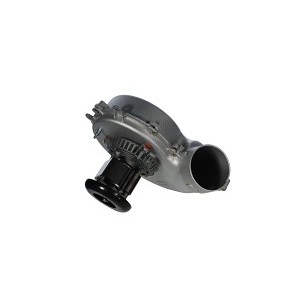 image 1 main