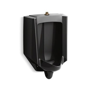 image 1 main