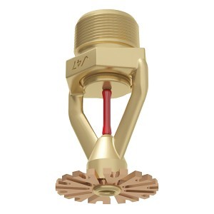 image 1 main
