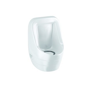 image 1 main
