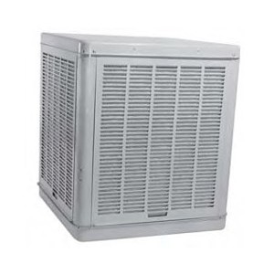 Image 1 Main