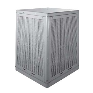 image 1 main