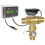 LEGIOMIX® Mixing Valve, 2 in, MNPT, Brass, Rough Brass