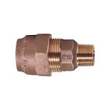 PACE Supply | Adapter, 2 in, Ranger Comp x MNPT, Brass