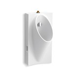 Image 1 Main