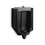 Image 1 Main