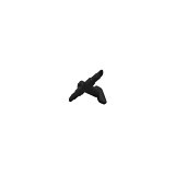 Image 1 Main