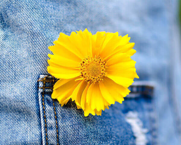 Kingpins Jeans Pocket Flower 5 4