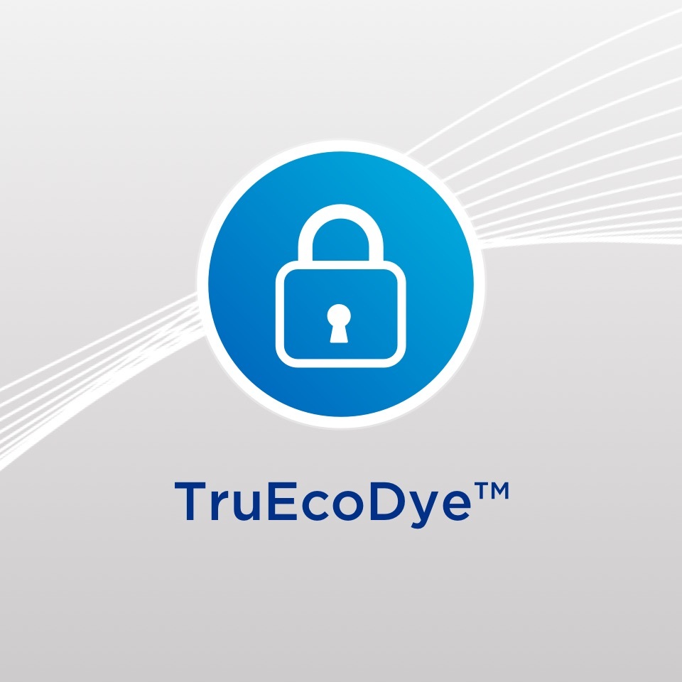 Truecodye Logo 1 1