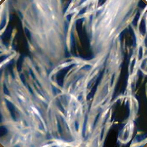 TruTouch Cotton Like 1 1