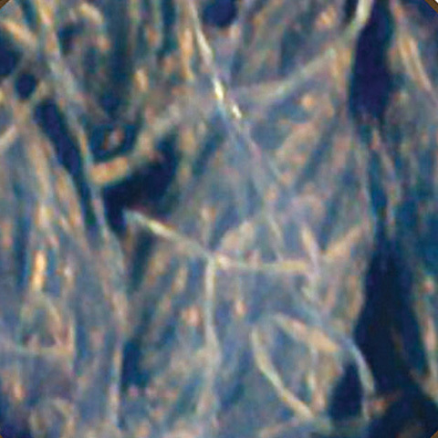 TruTouch Ring Spun 1 1