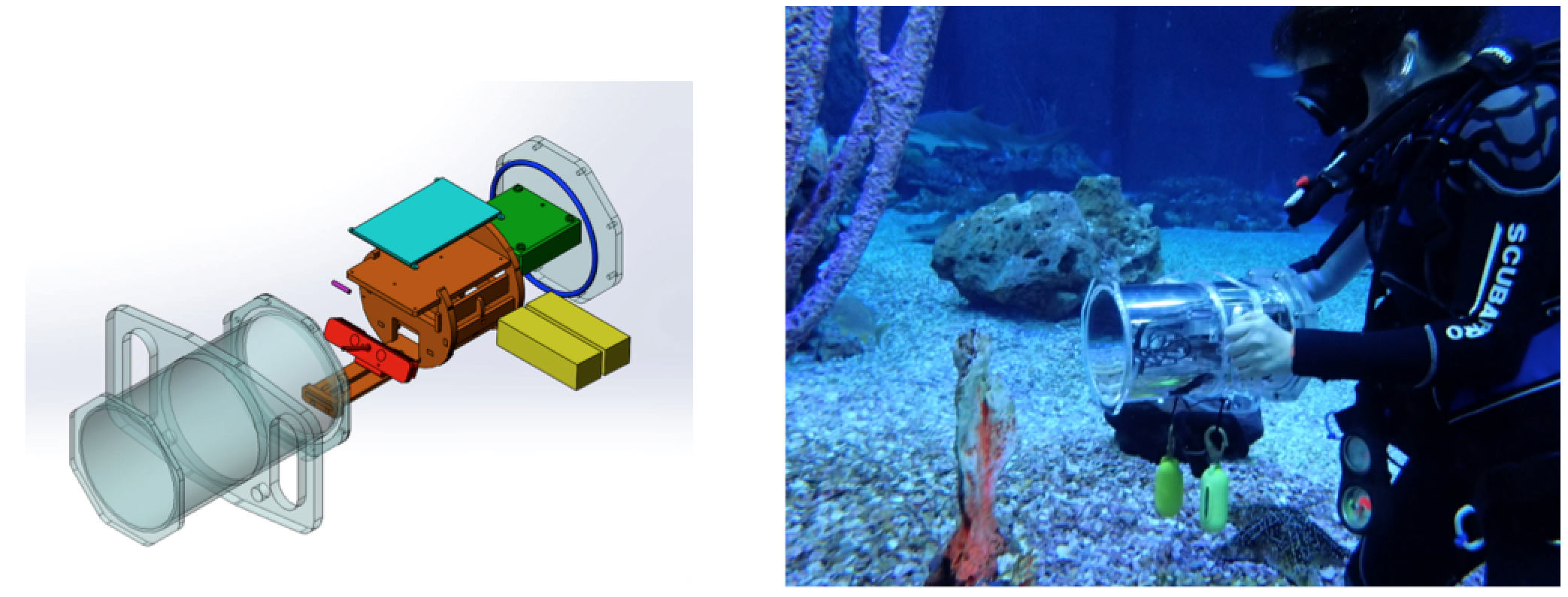 Underwater 3D Capture using a LowCost Commercial Depth Camera Disney