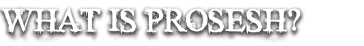 What is Pro Sesh