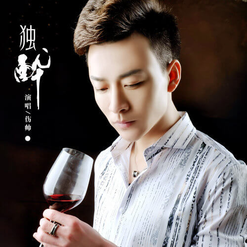 Du Zui 独醉 Drunk The Lyrics 歌詞 With Pinyin By Shang Shuai 伤帅