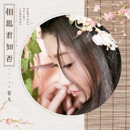 Xiang Si Jun Zhi Fou 相思君知否 Lovesickness You Know Not Lyrics 歌詞 With Pinyin By Fei Er 菲儿