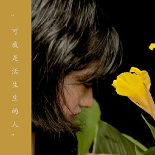 Ai Mo Sheng 爱莫生 Love Wake Lyrics 歌詞 With Pinyin By Zhong Sheng 钟声