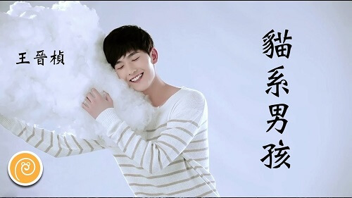 Mao Xi Nan Hai 猫系男孩 Cat Is A Boy Lyrics 歌詞 With Pinyin By Wang Ji Zhen 王晋桢 Kirk