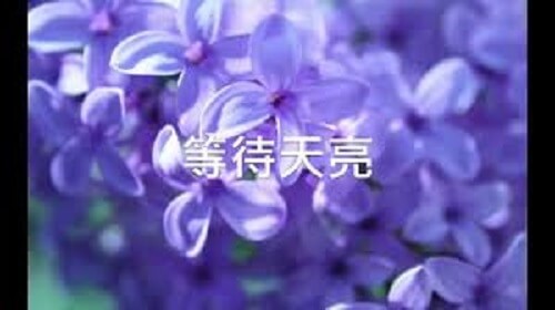 Deng Dai Tian Liang 等待天亮 Wait For The Morning Lyrics 歌詞 With Pinyin By Shi Ge 诗歌