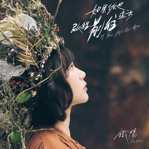 Yi Zhi Miao Xiao 蚁之渺小 The Ants Are Small Lyrics 歌詞 With Pinyin By Tie Yang 铁阳