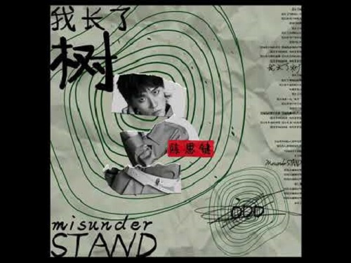 Wo Chang Le Shu 我长了树 I Grow A Tree Lyrics 歌詞 With Pinyin By Chen Si Jian 陈思键 ODD