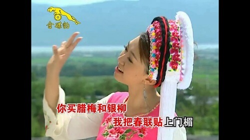 Kai Xin You Yi Nian 开心又一年 Happy For Another Year Lyrics 歌詞 With Pinyin By Zhuo Yi Ting 卓依婷 Timi Zhuo