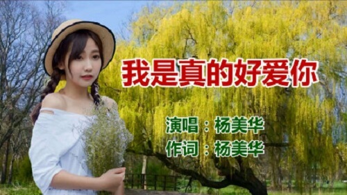 Wo Shi Zhen De Ai Ni 我是真的好爱你i Really Love You Lyrics 歌詞with Pinyin By Yang Mei Hua 杨美华 Chinese Song