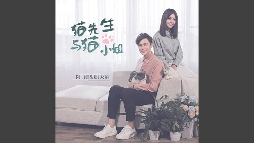 Mao Xian Sheng Yu Mao Xiao Jie 猫先生与猫小姐 Mr And Miss Cat Lyrics 歌詞 With Pinyin By A Xi 阿细 Kang Tian Xiu 康天庥