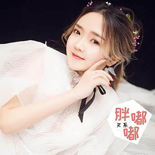 Pang Du Du 胖嘟嘟 Baby Fat Lyrics 歌詞 With Pinyin