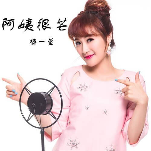 A Yi Hen Mang 阿姨很芒 Aunt Is Mans Lyrics 歌詞 With Pinyin