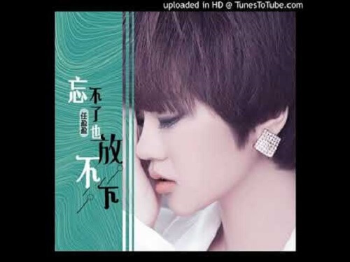 Wang Bu Liao Ye Fang Bu Xia 忘不了也放不下 I Can't Forget It Lyrics 歌詞 With Pinyin