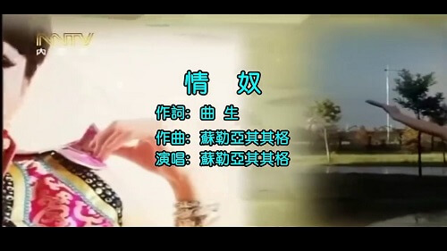 Qing Nu 情奴 Love Slave Lyrics 歌詞 With Pinyin