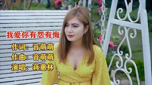 Wo Ai Ni You Yuan You Hui 我爱你有怨有悔 I Love You Has Regrets Lyrics 歌詞 With Pinyin