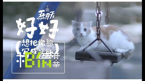 Hao Hao 好好 Have A Good Lyrics 歌詞 With Pinyin