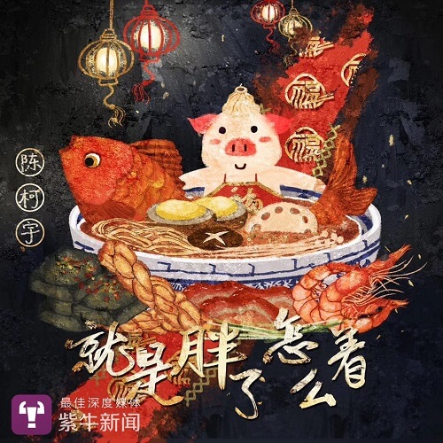 Jiu Shi Pang Le Zen Me Zhe 就是胖了怎么着 Just Fat What Lyrics 歌詞 With Pinyin