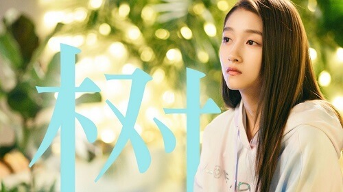 Shu 树 The Tree Lyrics 歌詞 With Pinyin