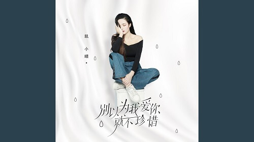 Bie Yi Wei Wo Ai Ni Jiu Bu Zhen Xi 别以为我爱你就不珍惜 Don't Think I Love You Doesn't Matter Lyrics 歌詞 With Pinyin
