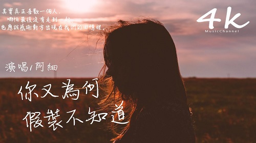 Ni You Wei He Jia Zhuang Bu Zhi Dao 你又为何假装不知道 Why Don't You Pretend To Know Lyrics 歌詞 With Pinyin