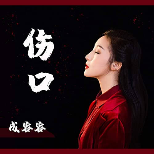 Shang Kou 伤口 The Wound Lyrics 歌詞 With Pinyin