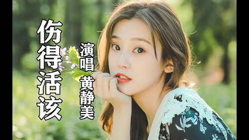 Shang De Huo Gai 伤得活该 Hurt So Deserved It Lyrics 歌詞 With Pinyin