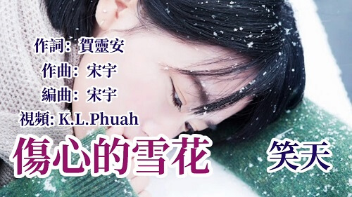 Shang Xin De Xue Hua 伤心的雪花 Sad Snowflakec Lyrics 歌詞 With Pinyin