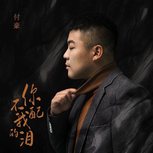 Ni Bu Pei Wo De Lei 你不配我的泪 You Don't Deserve My Tears Lyrics 歌詞 With Pinyin
