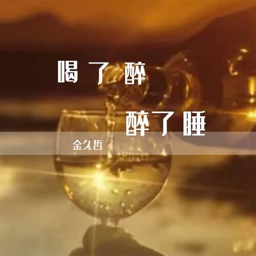 He Le Zui Zui Le Shui 喝了醉醉了睡 I Slept Drunk Lyrics 歌詞 With Pinyin