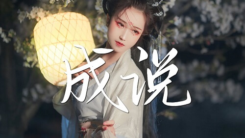 Cheng Shuo 成说 Lin Lyrics 歌詞 With Pinyin