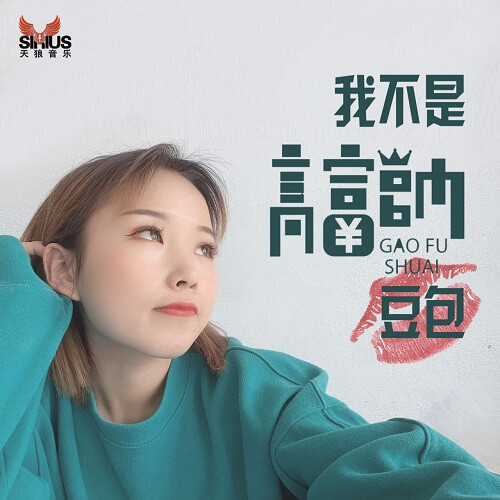 Wo Bu Shi Gao Fu Shuai 我不是高富帅 I Am Not Gao Fu Shuai Lyrics 歌詞 With Pinyin