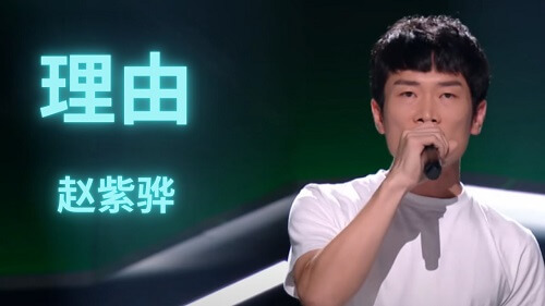 Li You 理由reason Lyrics 歌詞with Pinyin Chinese Song