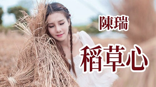 Dao Cao Xin 稻草心 Straw Heart Lyrics 歌詞 With Pinyin