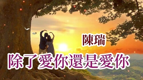 Chu Le Ai Ni Hai Shi Ai Ni 除了爱你还是爱你 In Addition To Love You Or Love You Lyrics 歌詞 With Pinyin