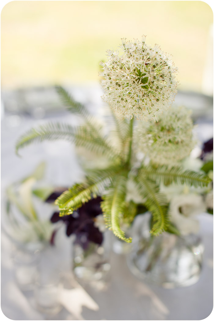 Andrea_Phinny-blog054