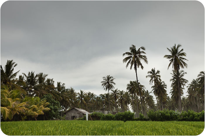 bali1012
