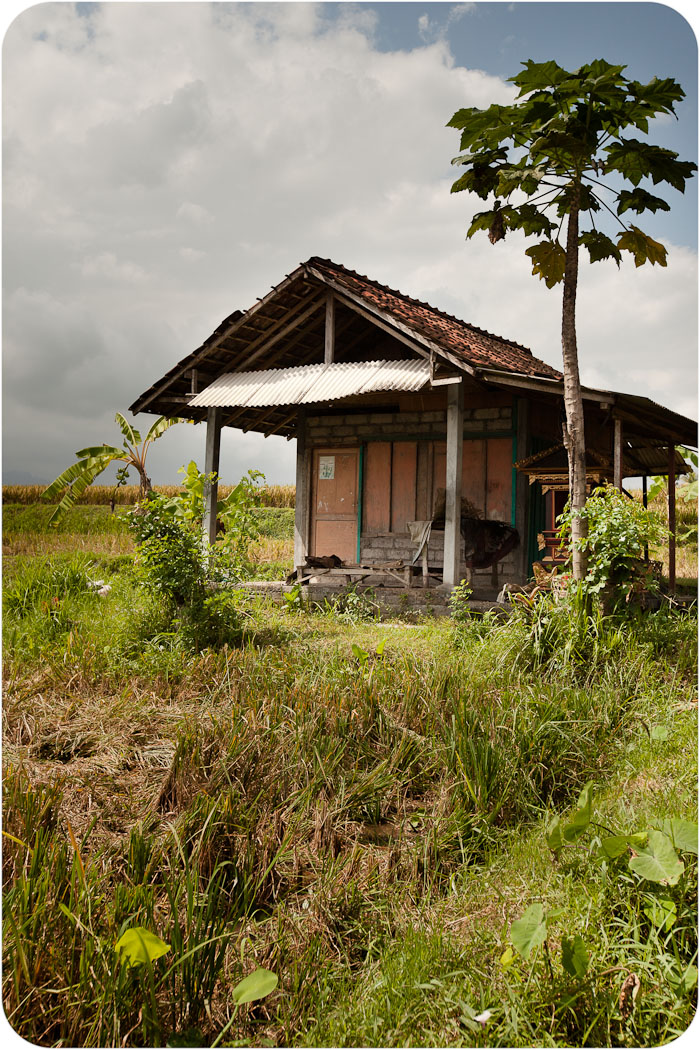 bali1014